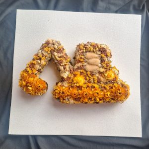 The Little Yellow Digger